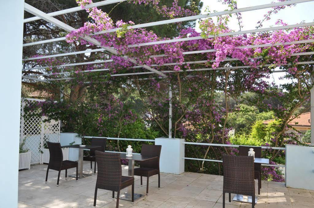 Guerrini Hotel Castiglioncello Εξωτερικό φωτογραφία